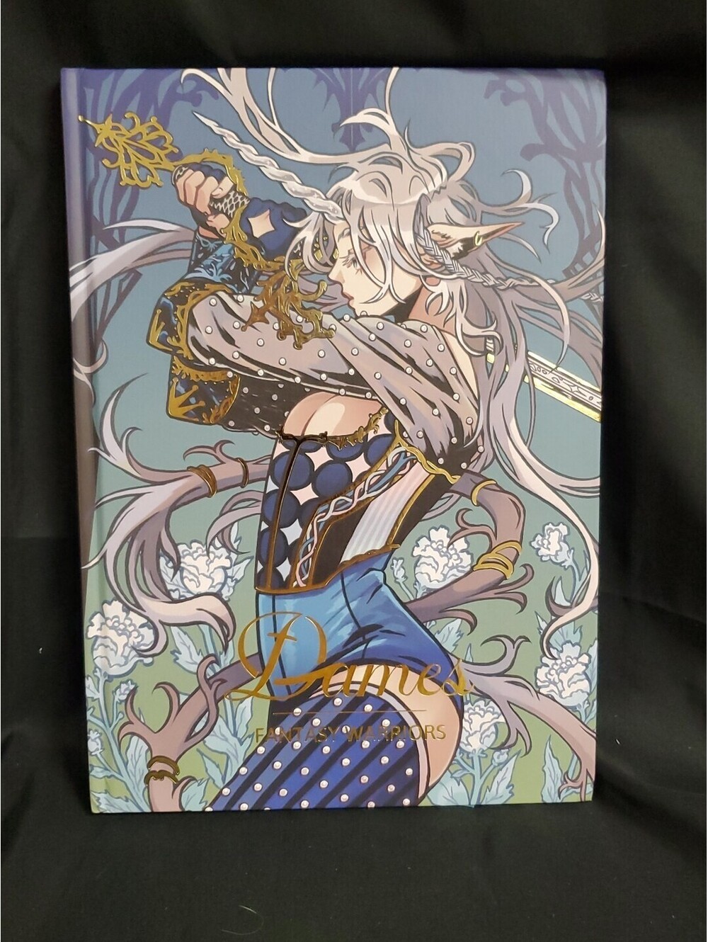 Dames, Fantasy Warriors Collaborative Artbook 65 Artists Hardcover 2024 NEW